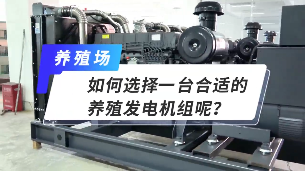 「視頻」如何選擇一臺合適的養(yǎng)殖發(fā)電機組呢？